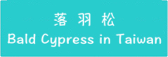ЪQtC