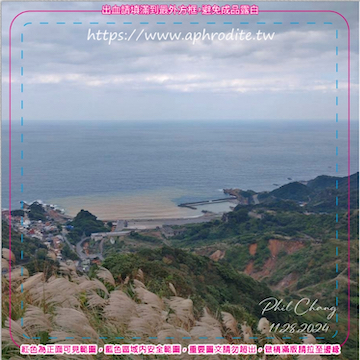 s_ڳɤsOlȪM 50J(ؤoG8.5 x 8.5 cm pסG1.2mm GOLrɦ̯ȼߤjoLsA̤ѵMOLrL^