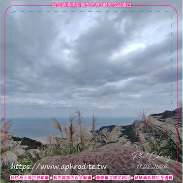 s_ڳɤsOlȪM 100J(ؤoG8.5 x 8.5 cm pסG1.2mm GOLrɦ̯ȼߤjoLsA̤ѵMOLrL^