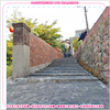 s_ڪʥOlȪM 100J(ؤoG8.5 x 8.5 cm pסG1.2mm GOLrɦ̯ȼߤjoLsA̤ѵMOLrL^