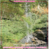s_ڤTIOlȪM 10J(ؤoG8.5 x 8.5 cm pסG1.2mm GOLrɦ̯ȼߤjoLsA̤ѵMOLrL^