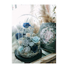 【初花理室True Florist Lab】永生花節慶藍色玫瑰玻璃花鐘  包裝後約18 公分×25 公分