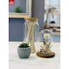 izTrue Florist Labjåͪ`y  ]˫e915 