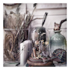izTrue Florist Labjåͪ`y  ]˫e915 